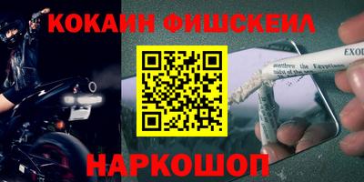 гашик Ярославль