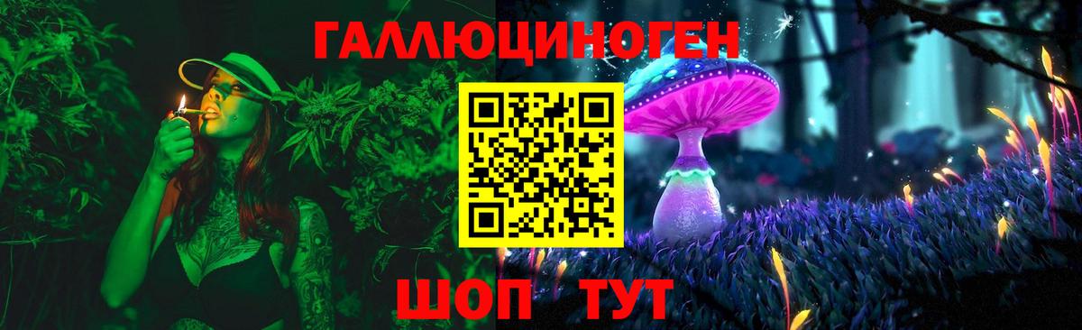 Галлюциногенные грибы Cubensis  Вход с VPN  Псилоцибиновые грибы мухоморы  Домодедово 